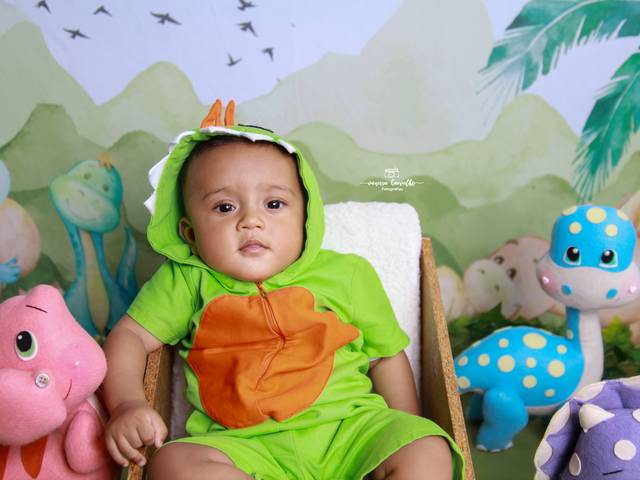 Acompanhamento Mensal de Vale dos Dinossauros para o Jhon