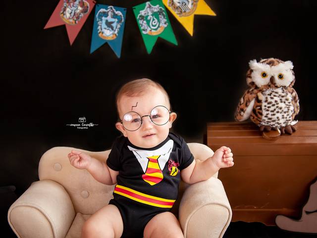 Acompanhamento Mensal de Lucas Potter 