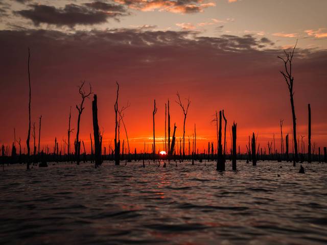 FOTO ARTE de OUTRAS FOTOS