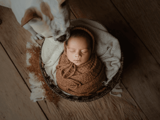 NEWBORN de Ensaio Newborn - Pedro, 18 dias