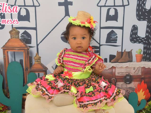 Acompanhamentos de Elisa