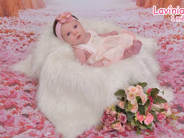 Acompanhamentos de Lavínia