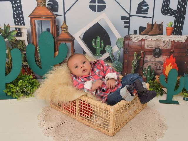 Estúdio de Bernardo