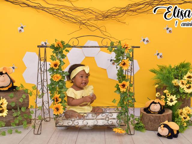 Acompanhamentos de Elisa