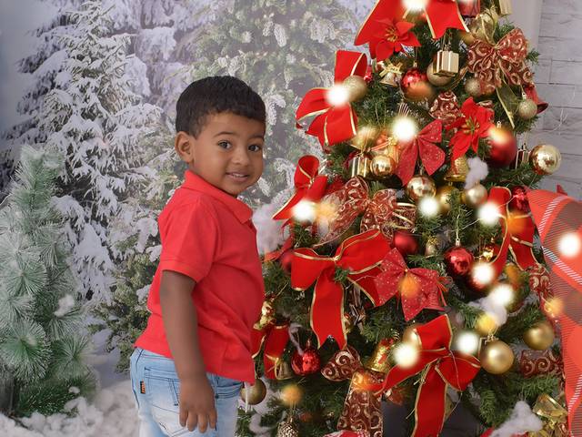 Natal  de Davi