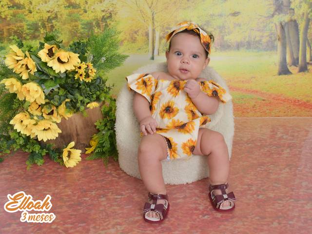 Acompanhamentos de Elloah