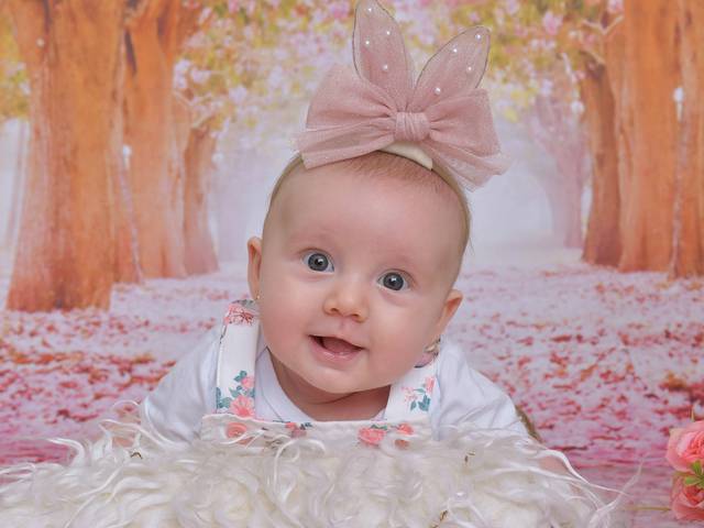 Acompanhamentos de Maria Alice