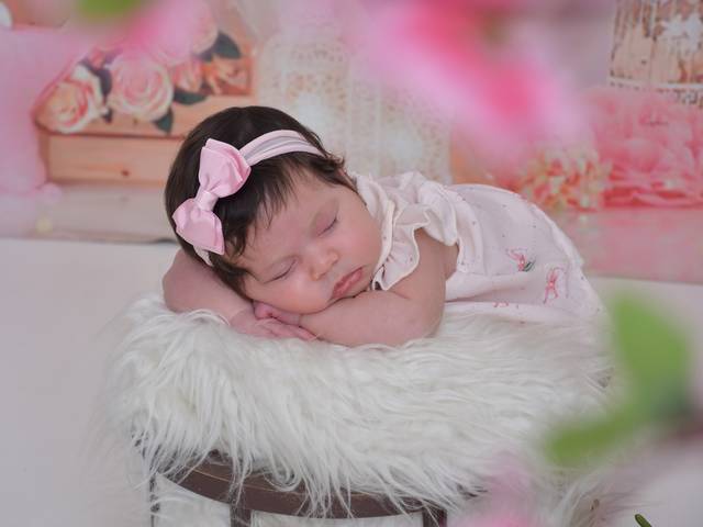 Acompanhamentos de Ísis