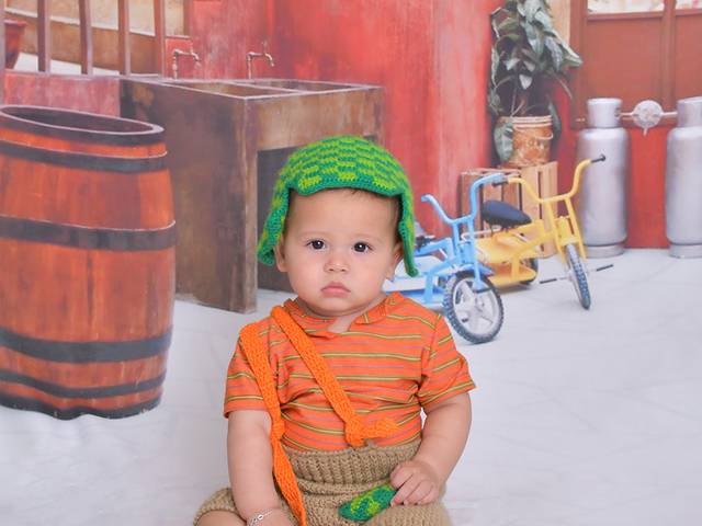 Acompanhamentos de José Henrique