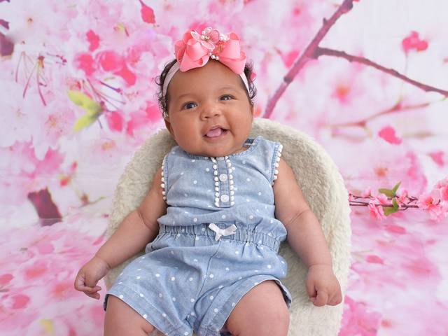 Acompanhamentos de Liz