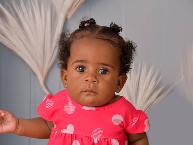 Ano Novo 2024 de Maia