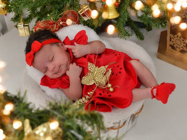 Natal 2023 de Maria Cecília