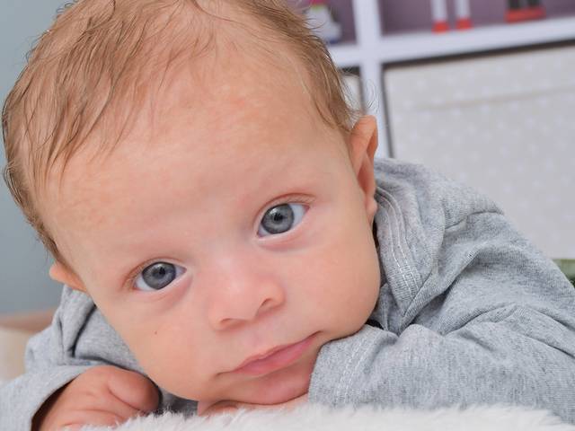 Acompanhamentos de Gael