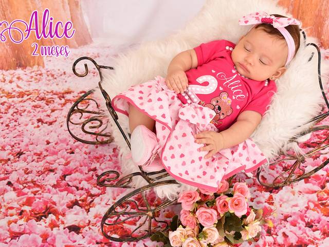 Acompanhamentos de Alice