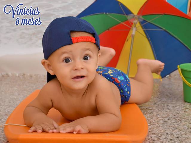 Acompanhamentos de Vinícius 