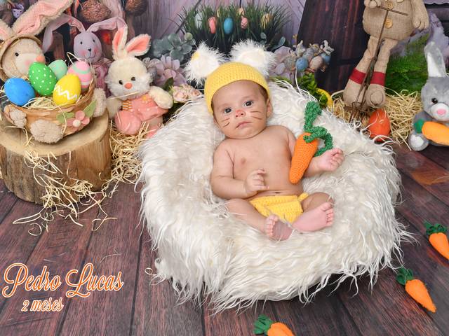 Acompanhamentos de Pedro Lucas 