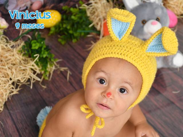 Acompanhamentos de Vinicius