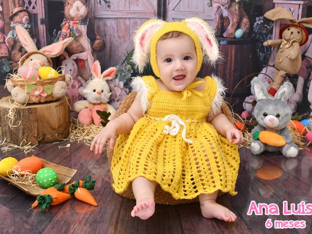 Acompanhamentos de Ana Luísa