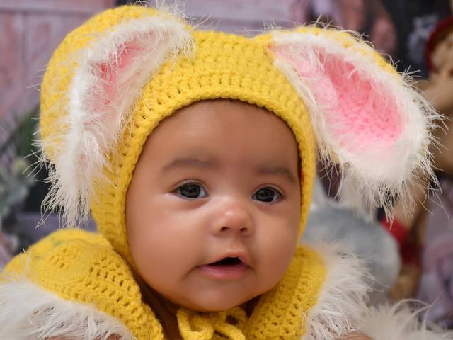 Acompanhamentos de Isabela