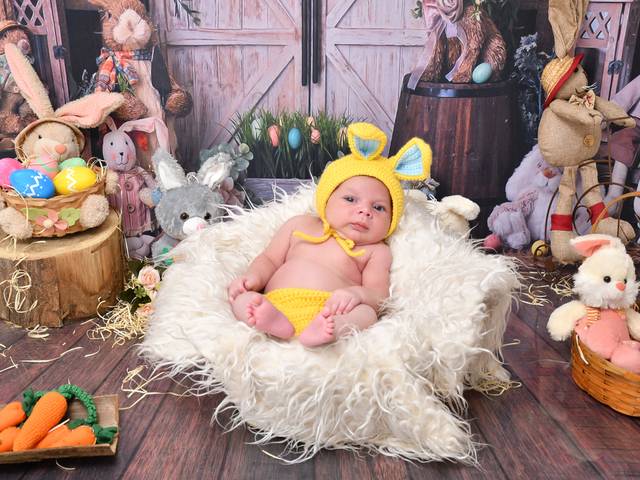 Acompanhamentos de Francisco 