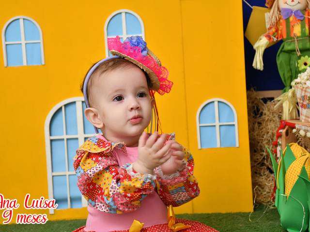 Acompanhamentos de Ana Luisa