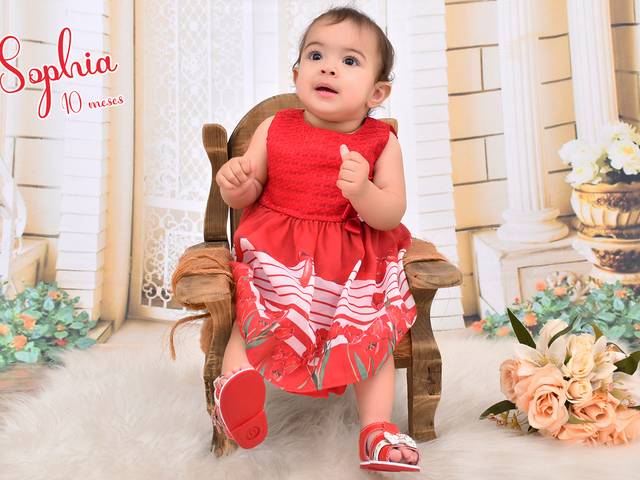 Acompanhamentos de Sophia