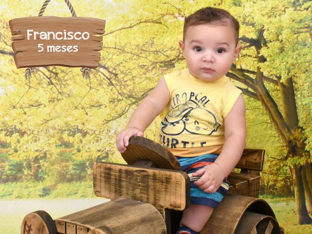 Acompanhamentos de Francisco