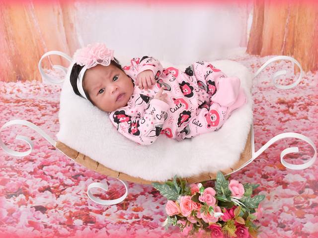 Acompanhamentos de Elisa