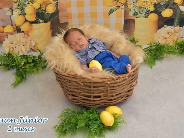 Acompanhamentos de Luan Junior