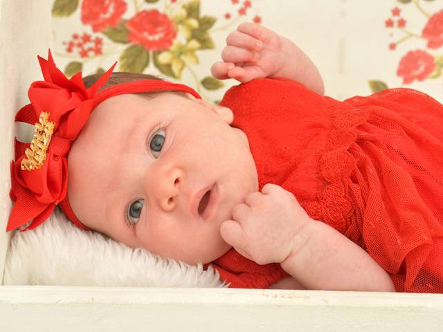 Acompanhamentos de Maria Luiza