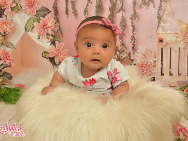 Acompanhamentos de Sophia