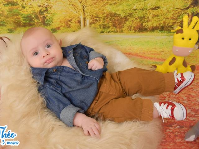 Acompanhamentos de Théo