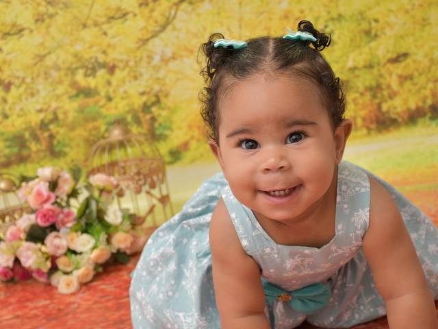 Acompanhamentos de Maria Cecília