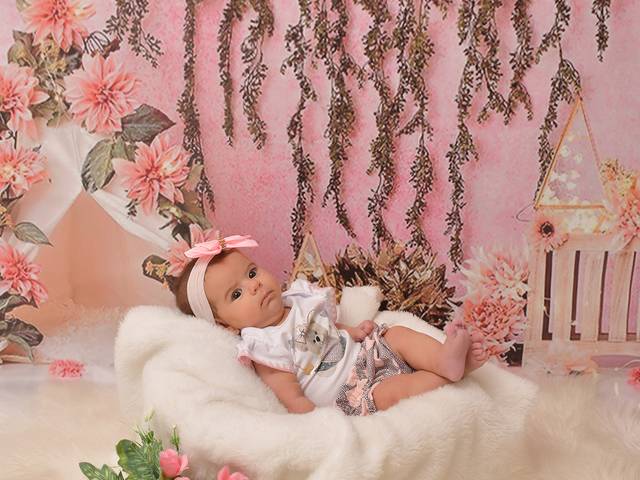 Acompanhamentos de Julia