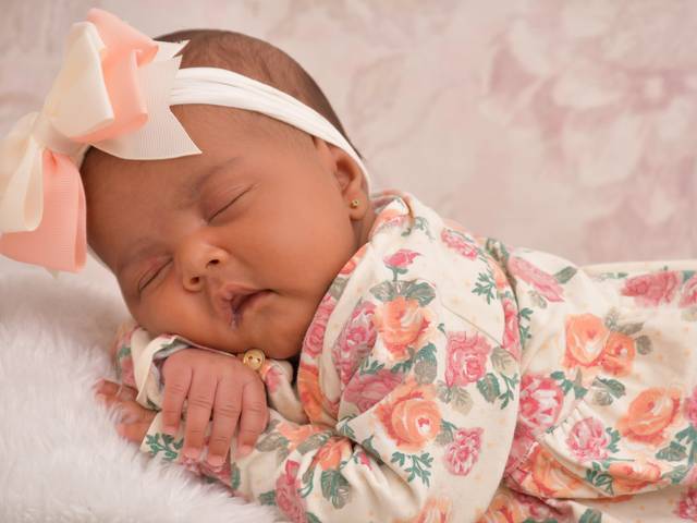 Acompanhamentos de Maria Cecília