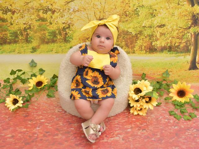 Acompanhamentos de Júlia