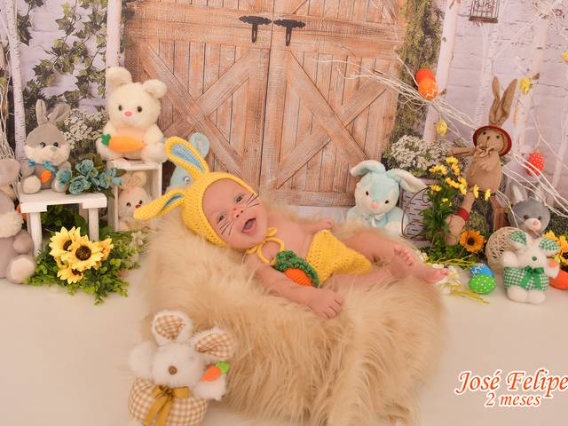 Acompanhamentos de José Felipe