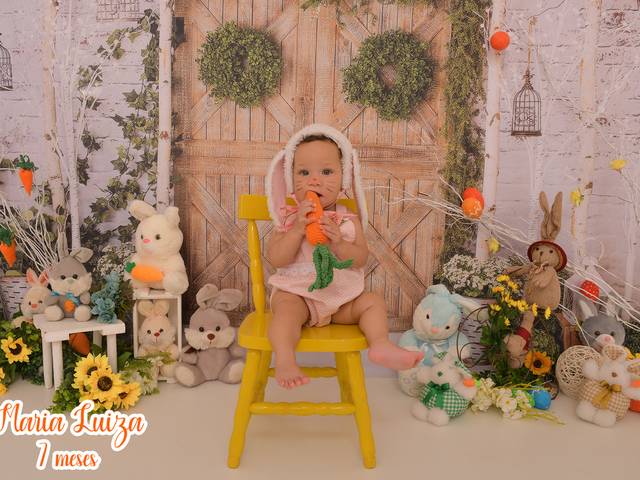 Acompanhamentos de Maria Luiza 