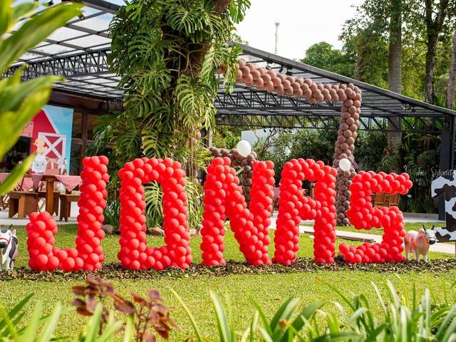 Aniversário  de Festa do Jonas | 1 ano