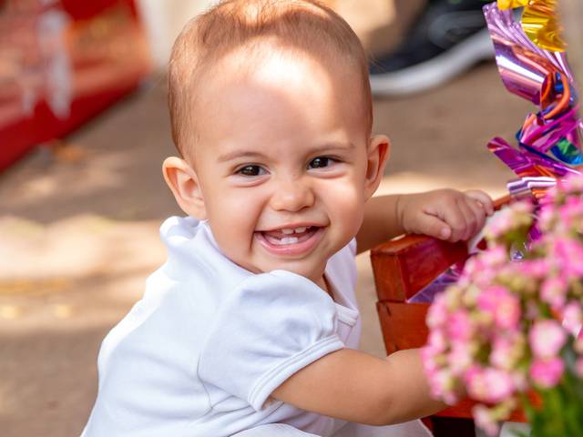 Festa Infantil de Alice - 1 ano