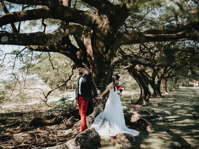 Mini Wedding de Yasmine e Valmir 