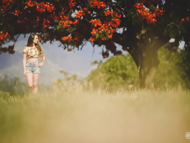 Ensaios 15 anos de Emilly 15 anos