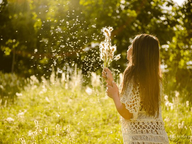 Ensaios 15 anos de 15 anos Aline