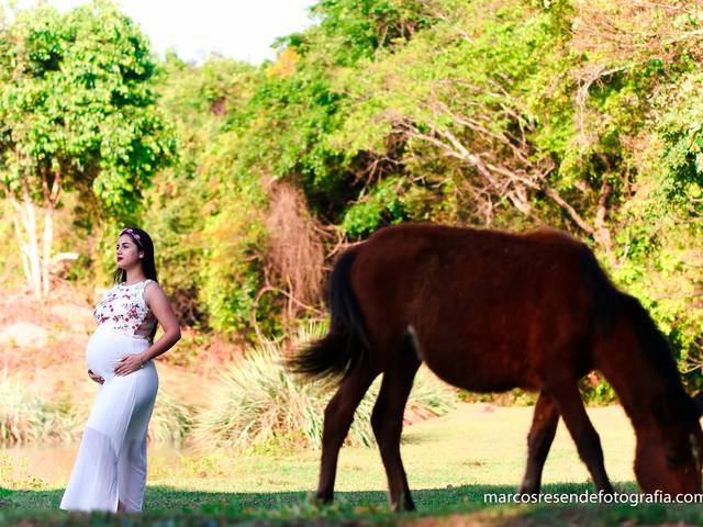 Gestantes de Ana Paula 