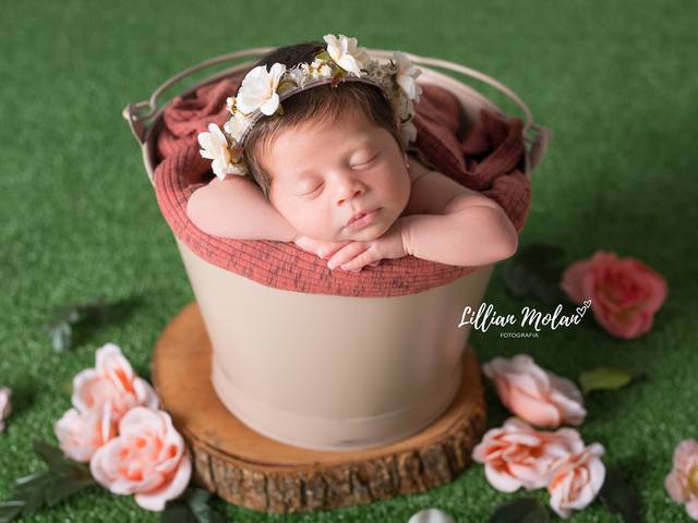 Newborn de Liz - 15 dias 