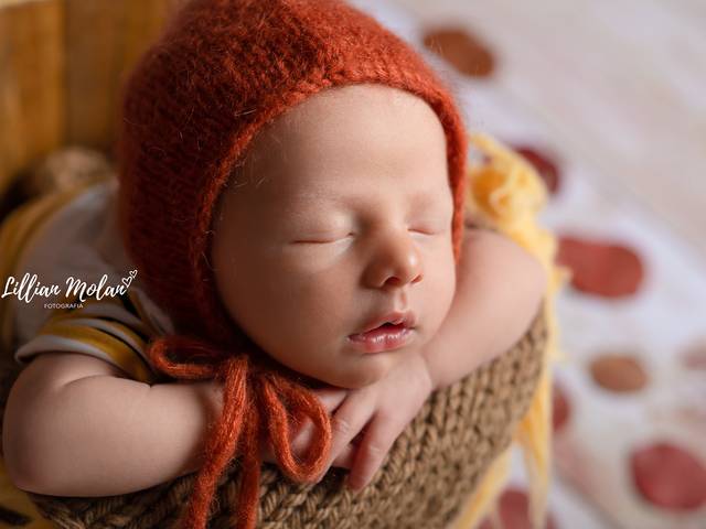 Newborn de Sessão Newborn - Santiago - 13 dias 