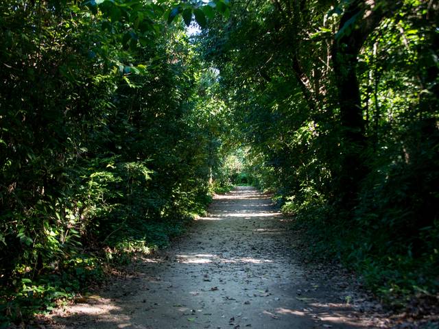 Um toque no seu olhar de Parque Natural Municipal Bosque da Freguesia
