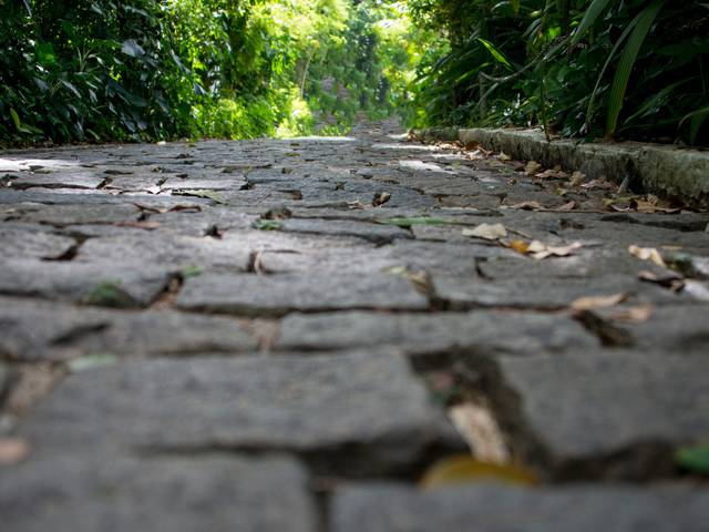 Um toque no seu olhar de Pista Claudio Coutinho