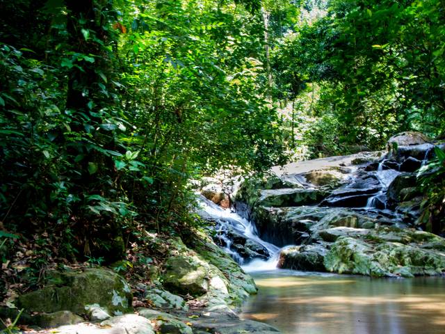 Um toque no seu olhar de Parque Estadual da Pedra Branca