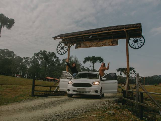 girassol de Daia e Sandi